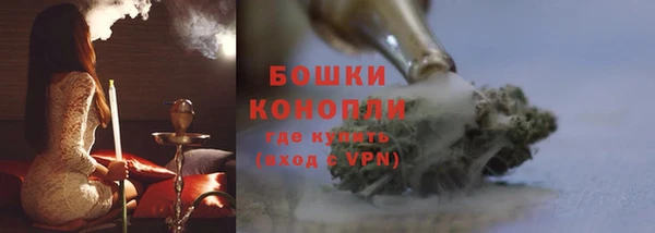 СК Козловка