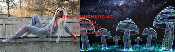 дживик Краснотурьинск