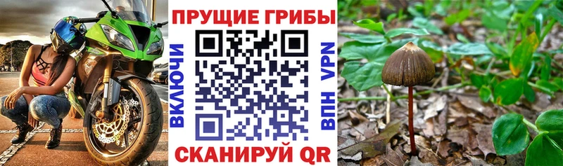 Псилоцибиновые грибы Magic Shrooms  Удачный 